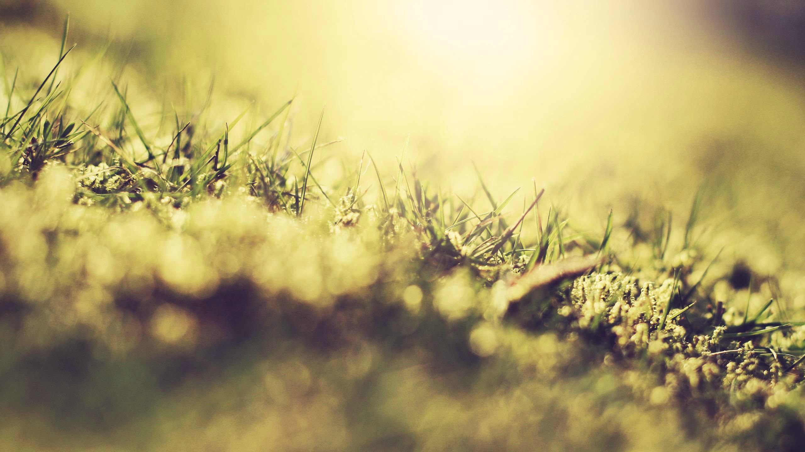 1920 x 1080 HD Wallpapers 136